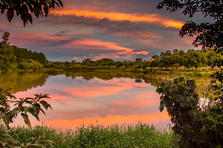 lago localizado na UFSCar durante o fim da tarde refletindo a mata que o margeia