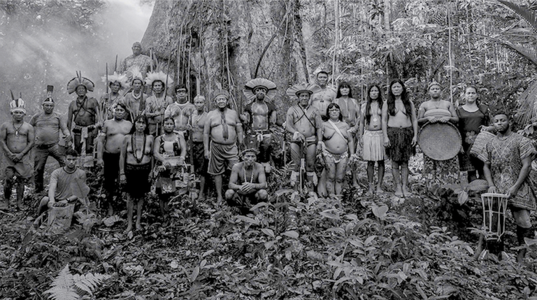  indivíduos de populações amazônicas (indígenas, extrativistas, ribeirinhos, quilombolas) em frente à uma grande árvore no meio da floresta amazônica.